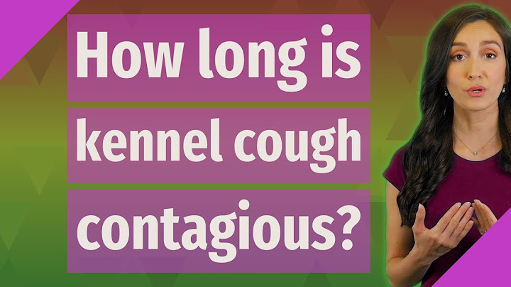 How long does kennel cough last outside