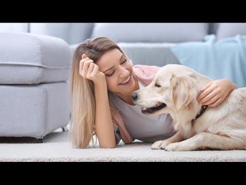 Video: Come presentare il tuo cane ad un nuovo bambino