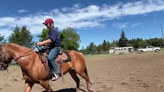 Horsemanship for competitors, Barrel racers, Ropers, Equestrian athletes￼