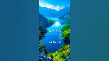 تلاوة خاشعة تبكي القلوب | سورة النمل بصوت عذب للشيخ إسلام صبحي