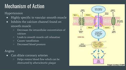 Nifedipine for High Blood Pressure