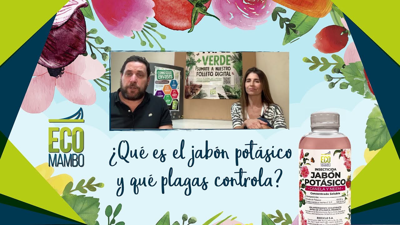 ¿Qué es el jabón potásico y qué plagas controla?