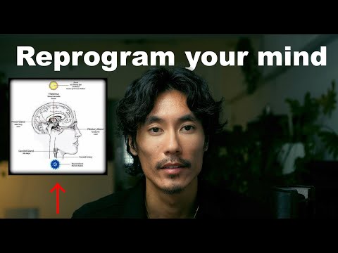 How to 5x your income and influence by reprogramming your mind