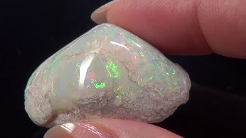 Solid Opalized Shell WT001