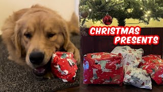 DOGS OPEN CHRISTMAS PRESENTS! | DOGMAS #25