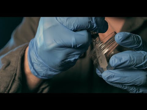 ASMR Ear Cleaning Experience