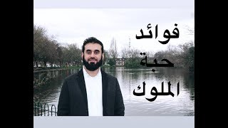 هل تعاني من الامساك او نمو الشعر الزائد علاجك مع حبة الملوك