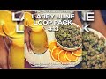 [FREE] Larry June Loop Pack #13 | 15 Loops Inspired by Larry June &amp; Cardo + 8 Drum Loops