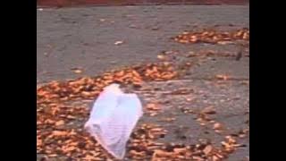 'American Beauty' - Thomas Newman (from the 'plastic bag scene')