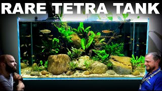 The Rare Tetra Tank: Building Fish Shop Matt's Home Aquarium (Aquascape Tutorial)