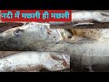 पढ़िना मछली जाल में आसान तरीका पकड़े🐬 और मछलियों को पकड़ने का एक तरीका