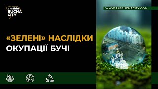 Природа у війні: Як постраждали зелені насадження в Бучі після окупації?