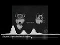 City Wolf Face In The Dark Ft Panther Visualizer City Wolf Face In The Dark Ft Panther Visualizer