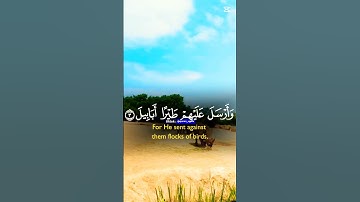 #سورة_الفيل #quran #سعود_الشريم #yasseraldossary #المصحف #reels #القرآن_الكريم #راحة_نفسية #fyp