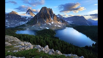 سورة الرحمن شيخ حمزة المجالي تلاوة مميزة