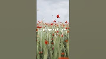 القرآن الكريم سورة الملك بصوت :الشيخ ماهر المعيقلي  #استرخاء #اكسبلور #قرآن_كريم #راحة_نفسية #الرحمن