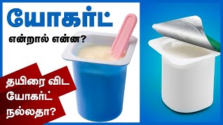 Difference Between Yogurt And Curd Health Benefits Of Yogurt - 24 Tamil Health