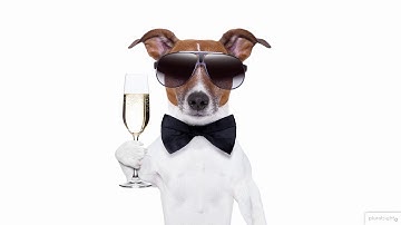 Build a Better Blog with a Static Site Generator