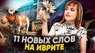 11 НОВЫХ СЛОВ НА ИВРИТЕ, КОТОРЫХ ВЫ ЕЩЁ НЕ ЗНАЛИ. ТЕКСТ &quot;КАК ПРОДАВАТЬ?&quot; ИВРИТ с Валерией.