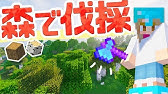 マインクラフト カカオ豆栽培所をつくる マイクラ実況 168 Youtube マインクラフト カカオ豆栽培所をつくる マイクラ実況 168 Youtube