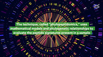 Estimating relative biomasses of organisms in microbiota using “phylopeptidomics”