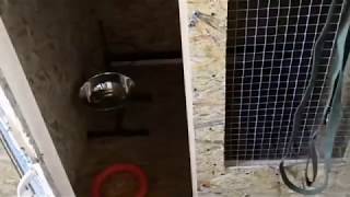 Учим собаку не бояться клетки, вольера. Лабрадор Эльза день 1. Учим собаку не бояться клетки, вольера. Лабрадор Эльза день 1.