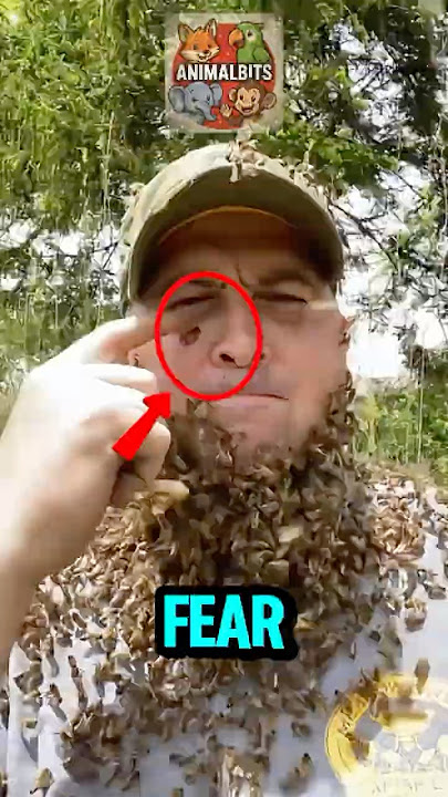 'Bee Beard World Record Attempt 🐝' #shorts  #bee #honey