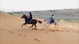 "مليكة ١٢" خروجها لمكان ابعد وللنفود وسباقها مع الكايده 😍