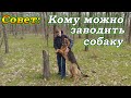 Кому можно заводить собаку | Что нужно знать перед покупкой щенка | Какую породу собак выбрать