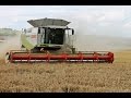 2 Combine Harvester Claas Lexion in Action | 770-600 | HOT BIG BARLEY HARVEST | Farming |