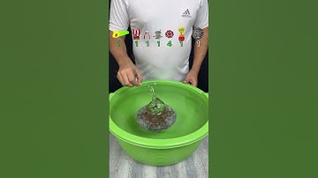 PROBEER TE RADEN HOEVEEL TISUS-PAPIER ER NODIG WAS! WAT GEBEURT ER NU? #experiment #asmr #voldoening