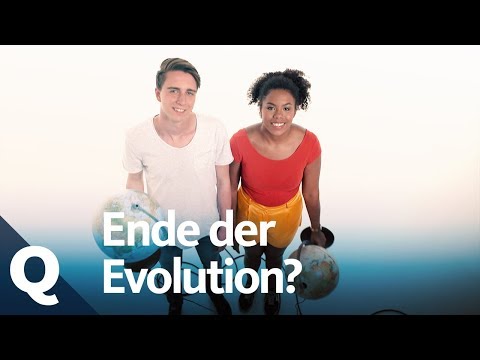 Video: Woher kommen Kronen?