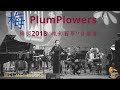 梅  ｜Plum Flowers (original works) | 梅楣原創 | 梅楣2018“魂縈舊夢”經典上海老歌美國個唱音樂會