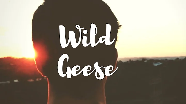 Mary Oliver - Wild Geese | Collaboration with Live Learn Evolve - DayDayNews