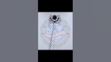 Scribit Time-lapse | 60 sec | "Just Give A Song" by Claudio Capuano