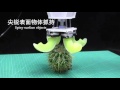 Universal Soft Robotic Gripper