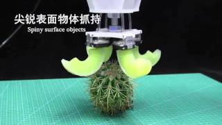 Universal Soft Robotic Gripper