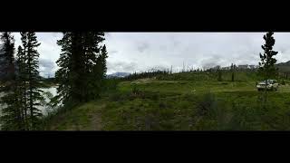 Flux 1 Ambient