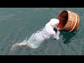 日本遊08 御木本珍珠岛 意大利面 鳗鱼饭 海女潜水 Mikimoto Pearl Island AMA Sea Divers 日本遊08 御木本珍珠岛 意大利面 鳗鱼饭 海女潜水 Mikimoto Pearl Island AMA Sea Divers