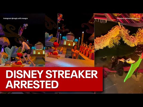 'It's a Small World' Disneyland streaker arrested