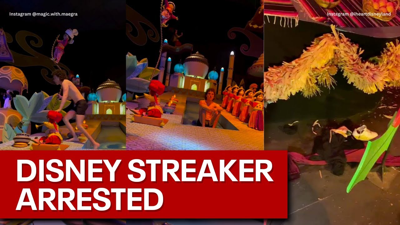 'It's a Small World' Disneyland streaker arrested