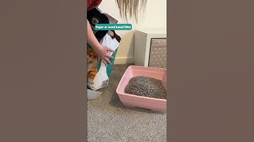 Bunny Litter Training