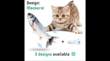 Fidgeting Fish Cat Toy 🐟 USB rechargeable 🔋