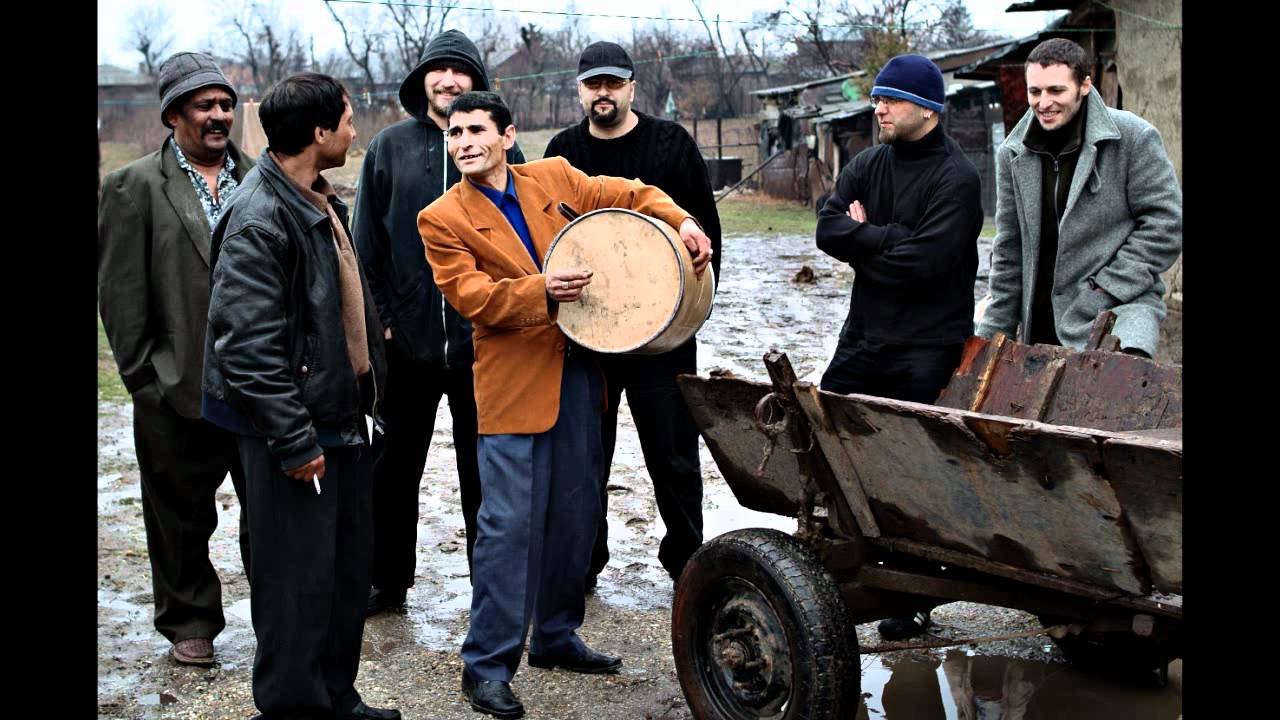 shukar collective dalladida shukar collective dalladida