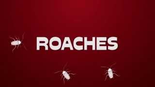 Cayce Exterminating Takes Care of your Roach Problem