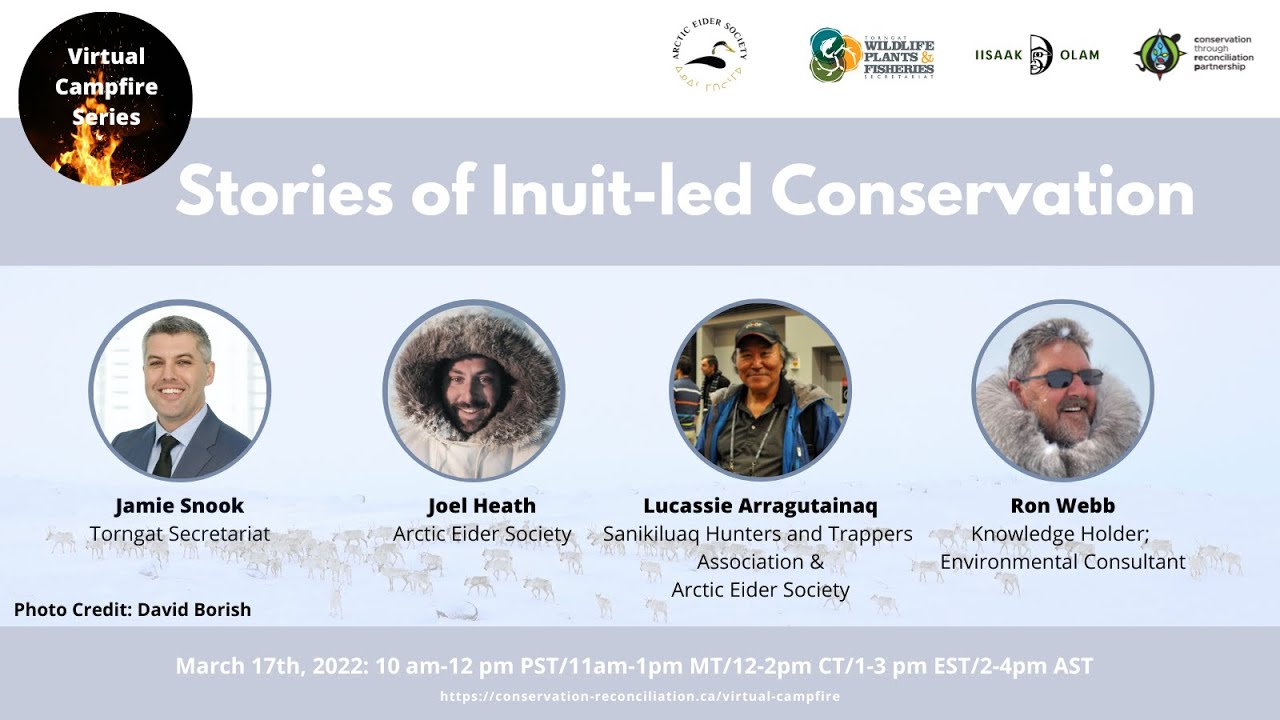 Stories of Inuit-led Conservation
