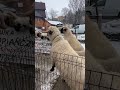18 мая 2026 г.