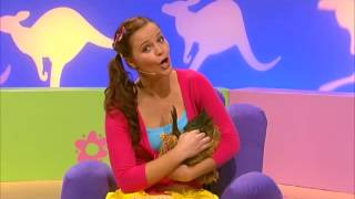 Hi5 Animal Fun Lauren 6