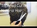 Tapered Cut on Natural Hair | 'In the Salon' Series