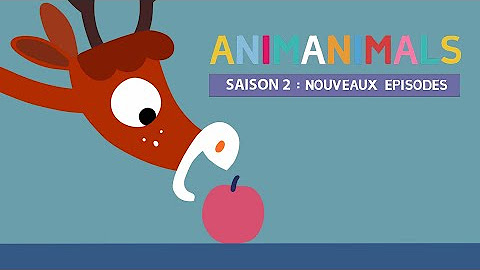 Animanimals season 2 - YouTube